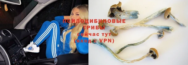 гашиш Алексин