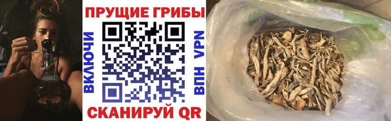 кракен рабочий сайт  Дрезна  Псилоцибиновые грибы мицелий 